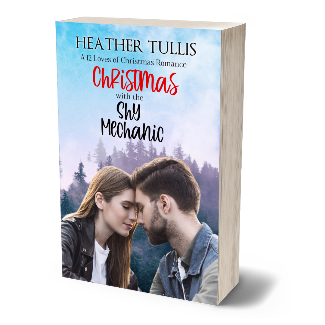 Christmas with the Shy Mechanic